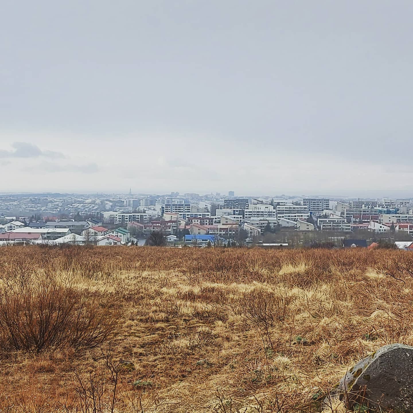 Þarf ekki að fara langt fyrir besta útsýnið í bænum þó gráminn umlyki flest í dag